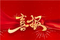 致敬！他們是”最美公交司機“