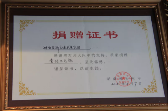 湖南望城縣雷鋒汽車運輸有限公司,長沙城市交通,校車運營,安保服務(wù),新能源科技