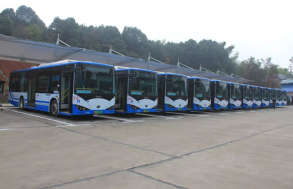 湖南望城縣雷鋒汽車(chē)運(yùn)輸有限公司,長(zhǎng)沙城市交通,校車(chē)運(yùn)營(yíng),安保服務(wù),新能源科技 湖南望城縣雷鋒汽車(chē)運(yùn)輸有限公司,長(zhǎng)沙城市交通,校車(chē)運(yùn)營(yíng),安保服務(wù),新能源科技