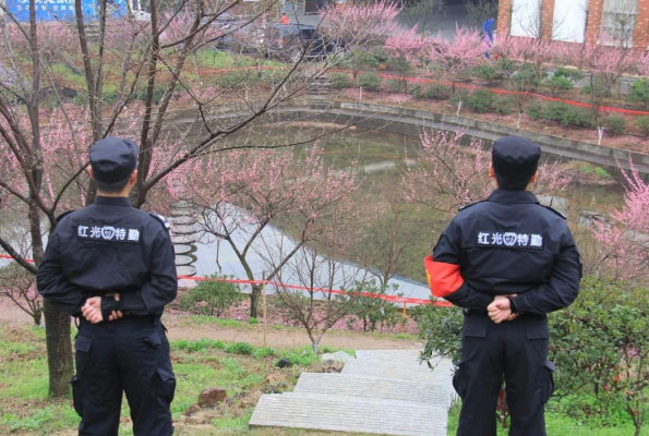 湖南望城縣雷鋒汽車運輸有限公司,長沙城市交通,校車運營,安保服務,新能源科技 湖南望城縣雷鋒汽車運輸有限公司,長沙城市交通,校車運營,安保服務,新能源科技